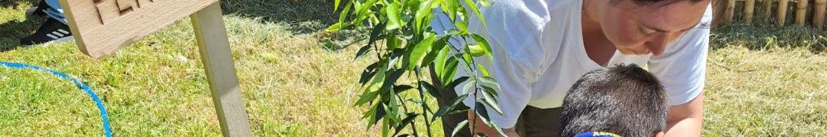 Voluntarios y niños plantando árboles