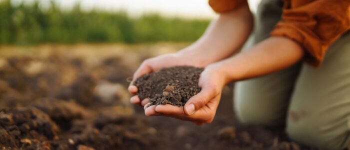 Puñado de tierra de un campo de cultivo Persona sostiene un puñado de tierra en ambas manos